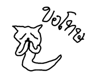 49042128