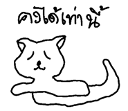 49042130