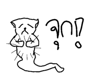 49042131