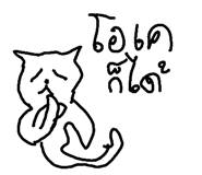 49042135