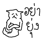 49042136