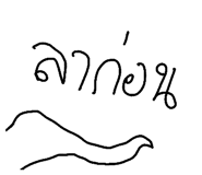 49042137