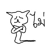 49042138