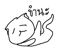49042139