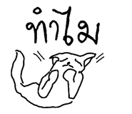 49042140
