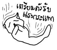 49042142