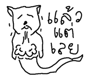 49042143