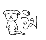 49042144