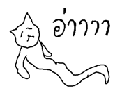 49042145