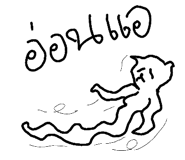 49042146