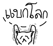 49042147