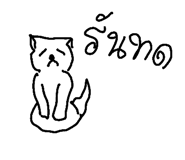 49042148