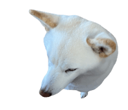 490452565