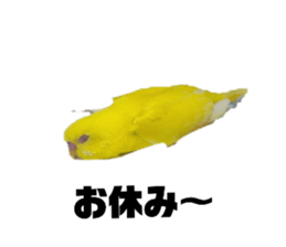 490454541