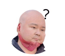 490487881