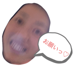 490488694