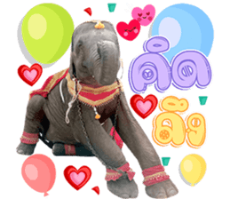 490509268