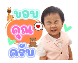 490509700