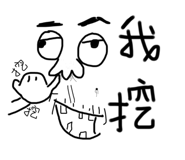 490513243
