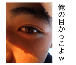 490516683