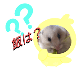 490530484