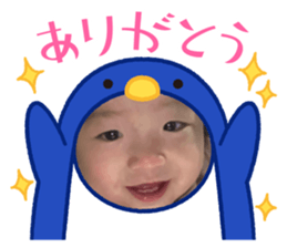 490532320