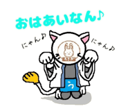 490539443