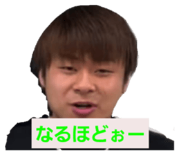 490566559