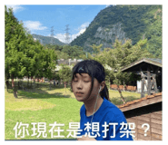 490571114