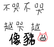 490615055