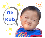 490753263
