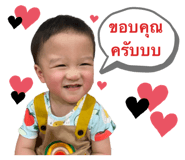 490753265