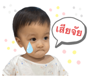 490753276