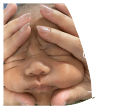 490783075
