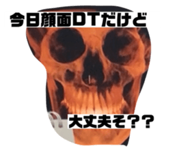 490795420