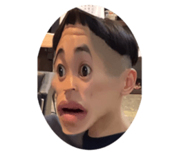 490804886