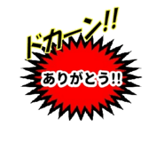 490825039