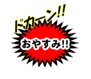 490825040