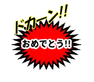 490825041