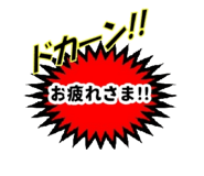 490825046