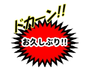 490825047