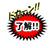 490825048