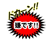 490825049