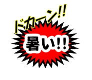 490825050