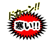490825054