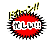 490825055