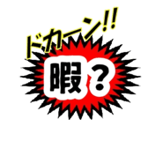 490825056