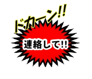 490825058