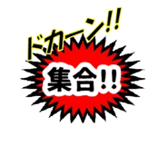490825059