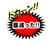 490825060